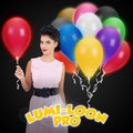 Assorted Color Lumi-Loon Balloons w/White LEDs